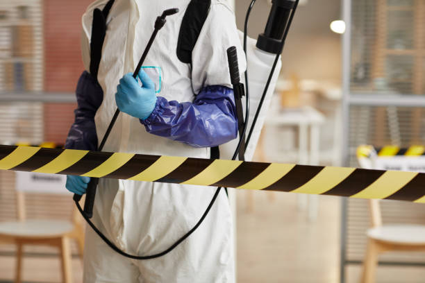 Professional Odor Removal technician working in Midland, OH